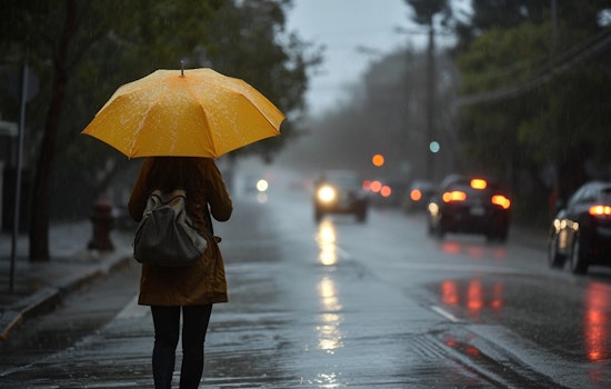 Bay Area on Alert for Thunderstorms and Heavy Rainfall, Flood Watch in North Bay