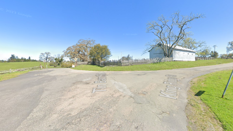 Bicyclist Fatally Struck by Fallen Tree on Rural Road in Santa Rosa