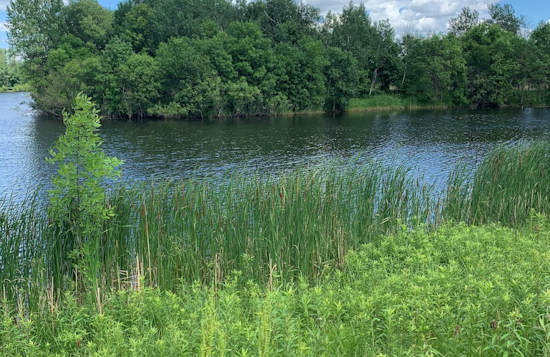 Blaine City Government Advises Against Ice Skating on Stormwater Ponds