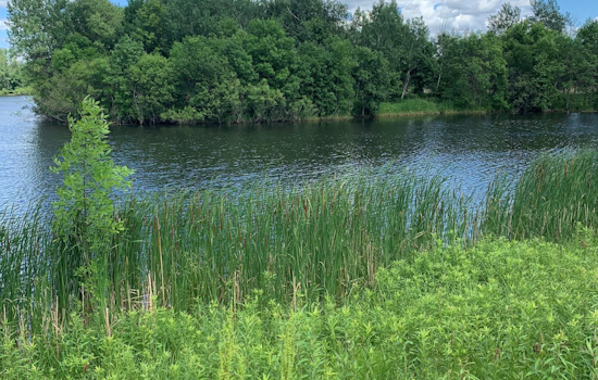 Blaine City Government Advises Against Ice Skating on Stormwater Ponds