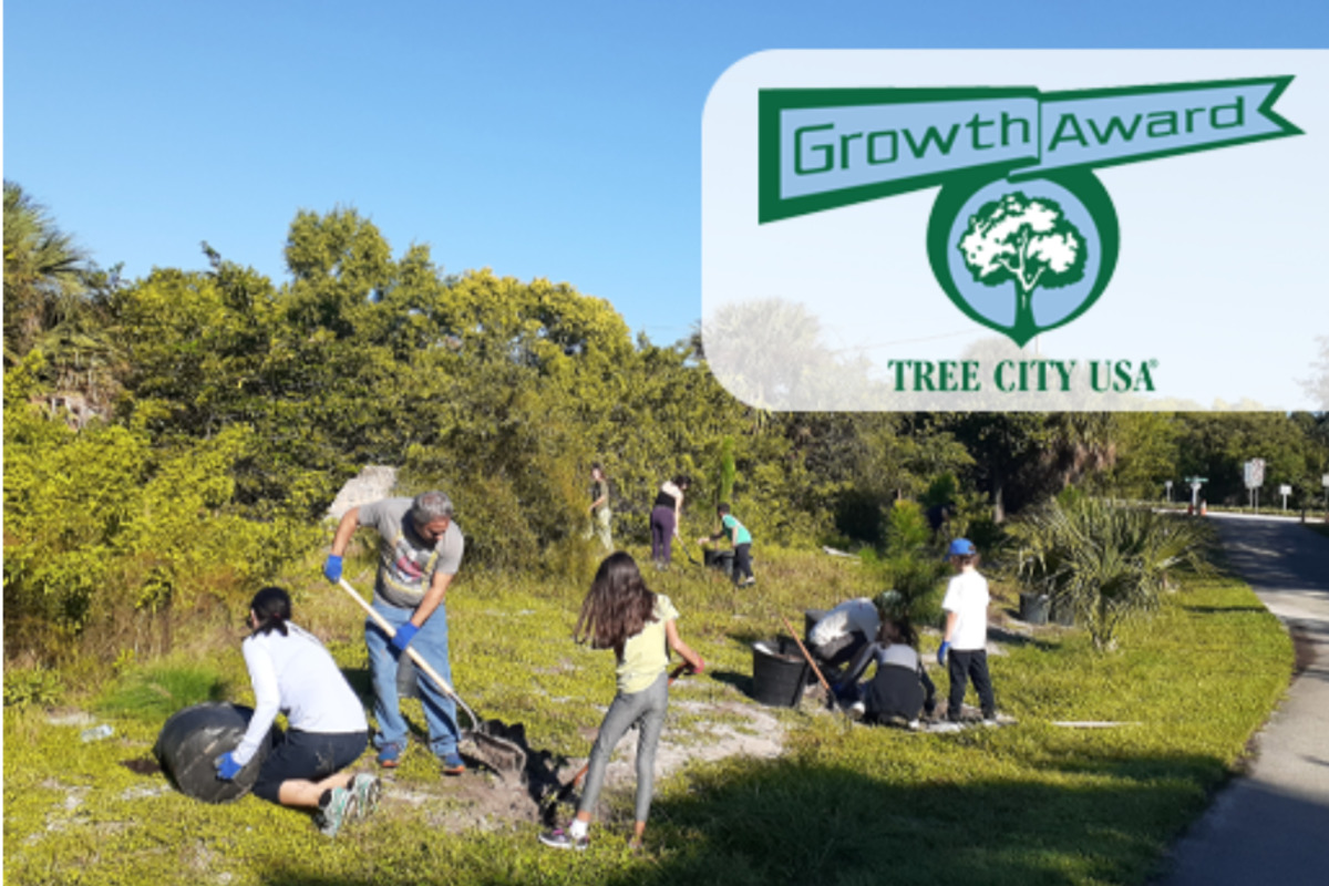 Boca Raton Lauded for Environmental Excellence with Tree City USA
