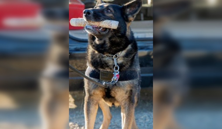 Border Patrol K-9 in Indio Uncovers $250K in Liquid Meth Hidden in Truck's Gas Tank