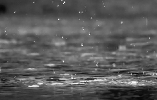 Boston Braces for Wet Week with Downpours, Gusts as NWS Predicts Showers Through Sunday