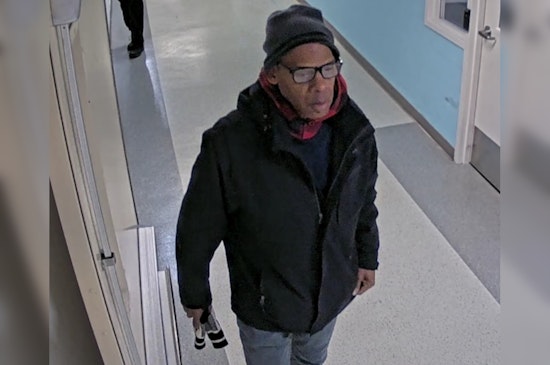 Boston Police Seek Help in Identifying Suspect in Children's Hospital Theft