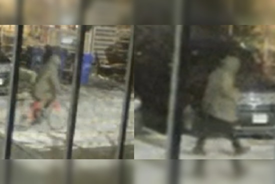 Boston Police Seek Public's Help to Identify Suspect in Roxbury Car Break-In