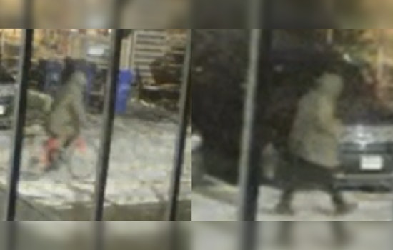 Boston Police Seek Public's Help to Identify Suspect in Roxbury Car Break-In