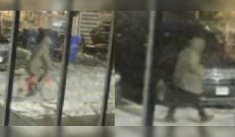 Boston Police Seek Public's Help to Identify Suspect in Roxbury Car Break-In