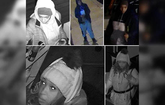 Boston Police Seek Public's Help to Identify Suspects in Roxbury Commercial Burglary
