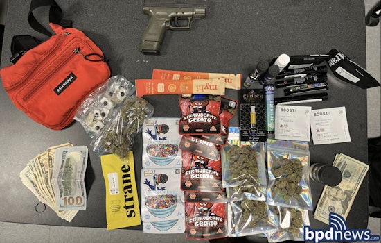 Boston Police Seize Gun and Drugs at Hyde Park Skate Park, Randolph Man Charged