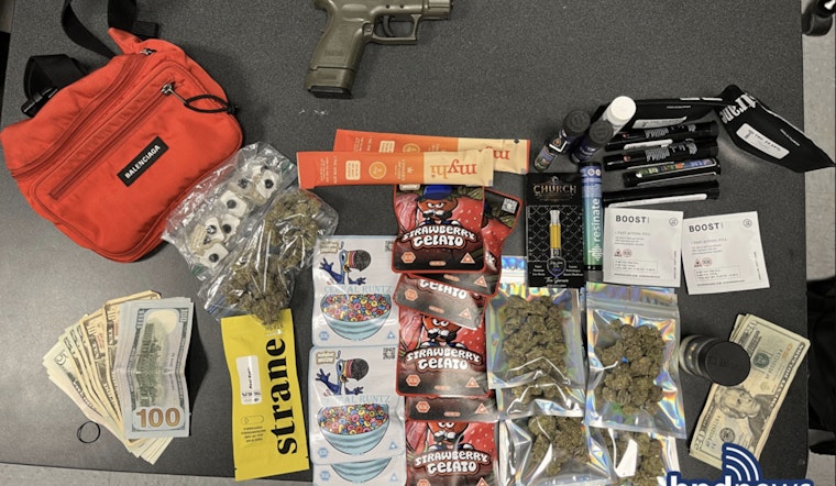 Boston Police Seize Gun and Drugs at Hyde Park Skate Park, Randolph Man Charged