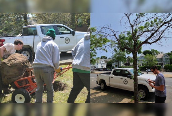 Boston's Urban Forestry Division Marks Growth and Engagement in City's Green Efforts