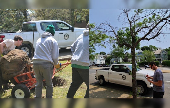 Boston's Urban Forestry Division Marks Growth and Engagement in City's Green Efforts