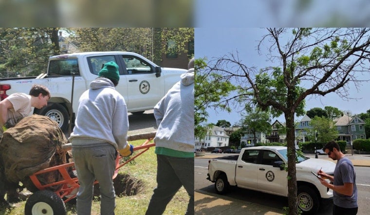 Boston's Urban Forestry Division Marks Growth and Engagement in City's Green Efforts
