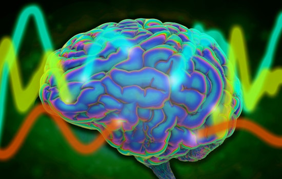 Brain Wave Breakthrough, MIT and Vanderbilt Scientists Unlock Universal Cortex Patterns