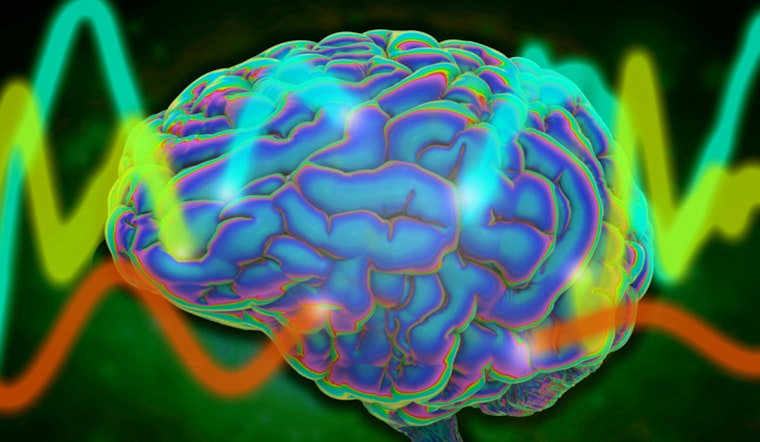 Brain Wave Breakthrough, MIT and Vanderbilt Scientists Unlock