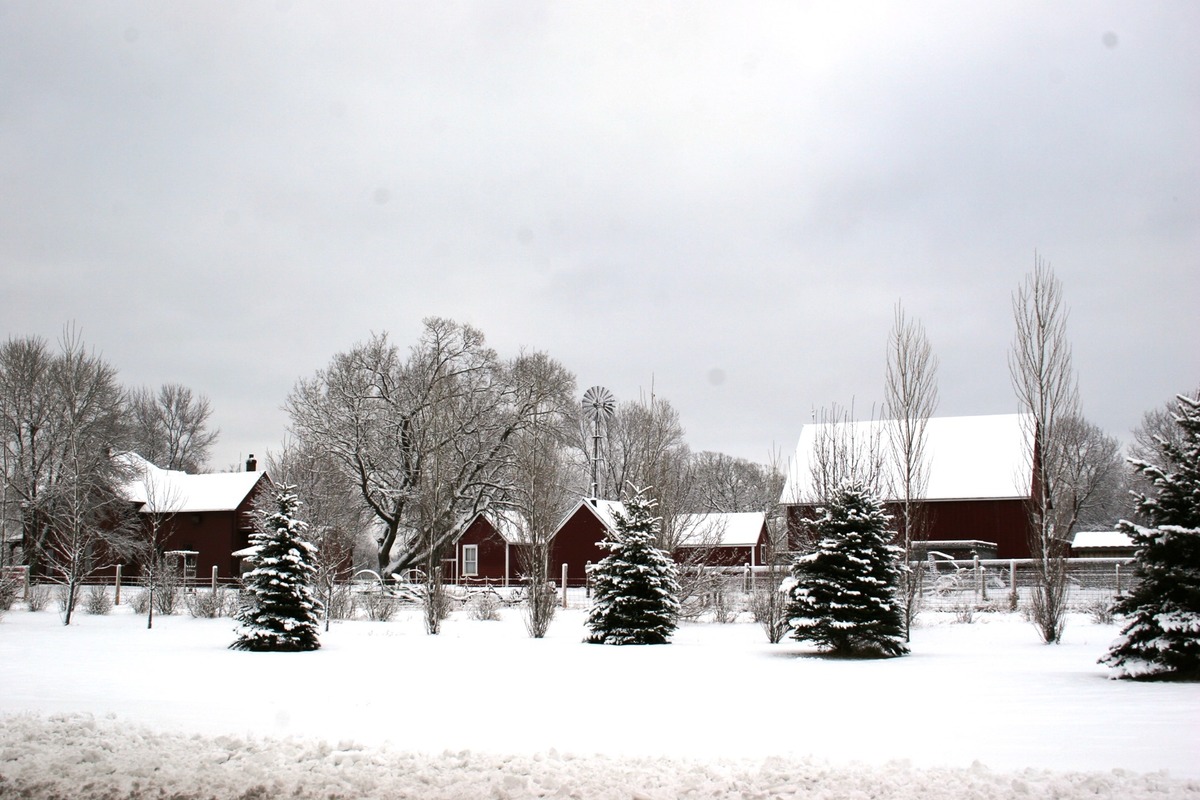 Brooklyn Park's Historic Eidem Farm Snow Day Event Canceled Due to
