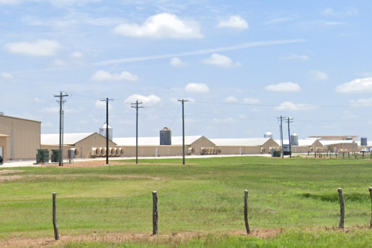 Bryan, Texas Chicken Farm Engulfed in Flames, Authorities Manage Sprawling Blaze