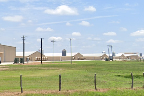 Bryan, Texas Chicken Farm Engulfed in Flames, Authorities Manage Sprawling Blaze