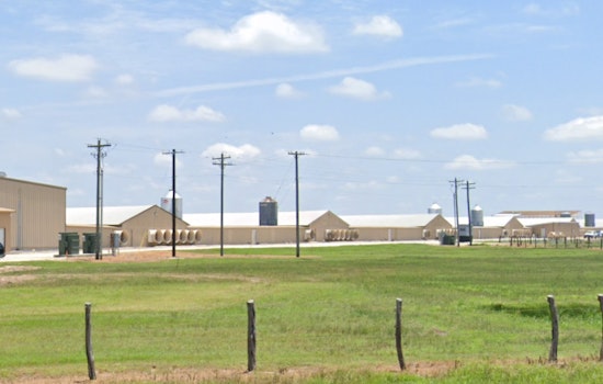 Bryan, Texas Chicken Farm Engulfed in Flames, Authorities Manage Sprawling Blaze