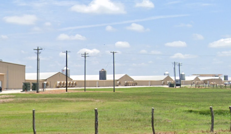 Bryan, Texas Chicken Farm Engulfed in Flames, Authorities Manage Sprawling Blaze