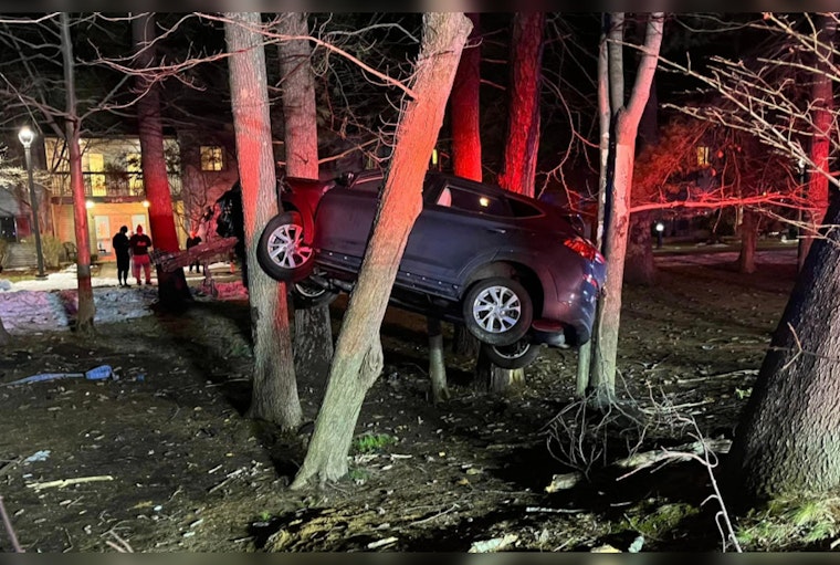 Car Becomes "Makeshift Treehouse" 10 Feet Up Post-Crash in Longmeadow, No Injuries Reported