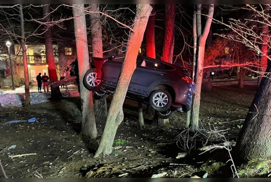Car Becomes "Makeshift Treehouse" 10 Feet Up Post-Crash in Longmeadow, No Injuries Reported