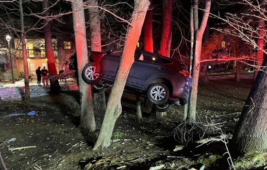 Car Becomes "Makeshift Treehouse" 10 Feet Up Post-Crash in Longmeadow, No Injuries Reported