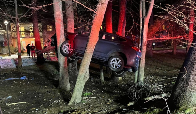 Car Becomes "Makeshift Treehouse" 10 Feet Up Post-Crash in Longmeadow, No Injuries Reported