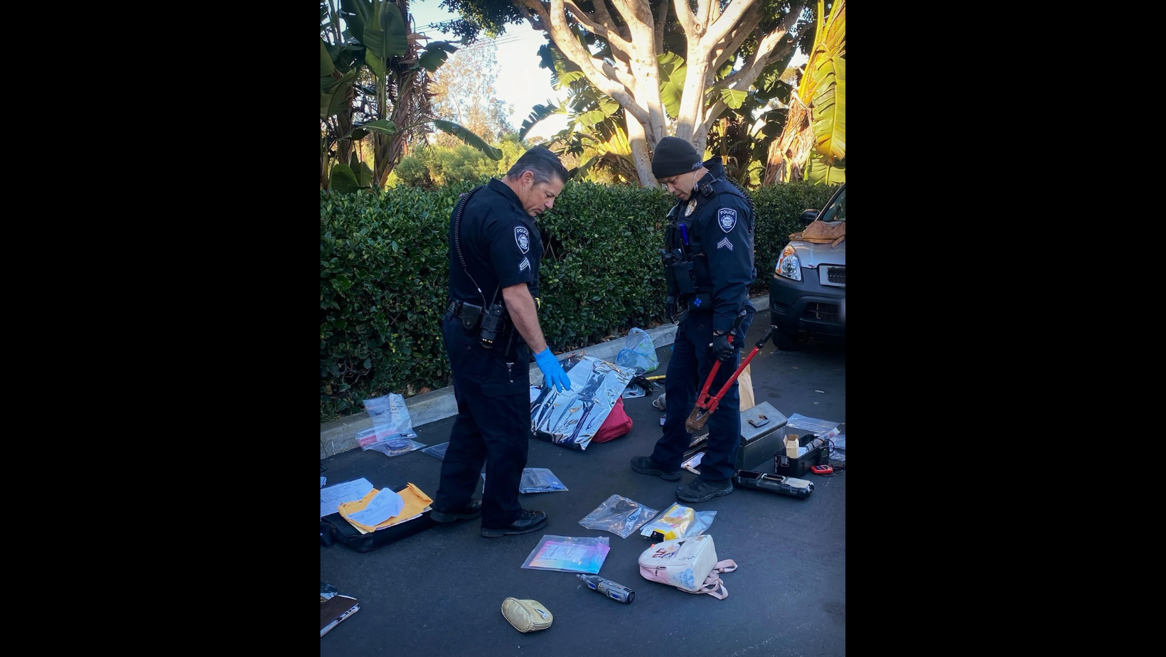 Carlsbad Police Arrest Pair On Multiple Charges Including Mail Theft