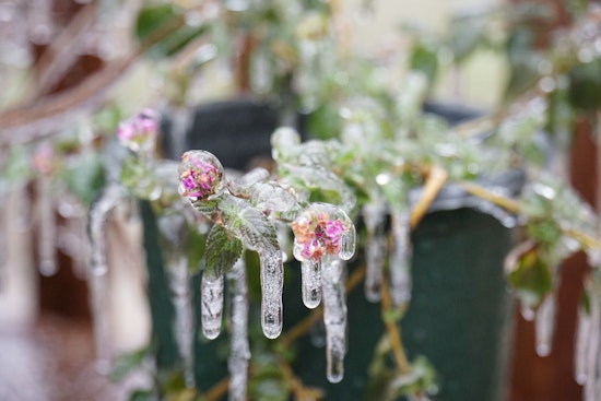 Central Texas Braces for Freezing Temperatures, Austin Prepares Warming Centers & Shelters