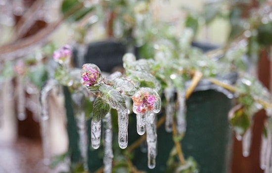 Central Texas Braces for Freezing Temperatures, Austin Prepares Warming Centers & Shelters