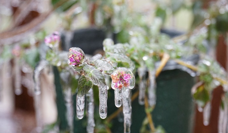 Central Texas Braces for Freezing Temperatures, Austin Prepares Warming Centers & Shelters