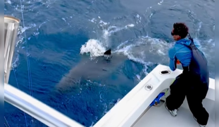 Charter Captain's Epic Battle with a 1,000-Pound Great White in Fort Lauderdale Waters