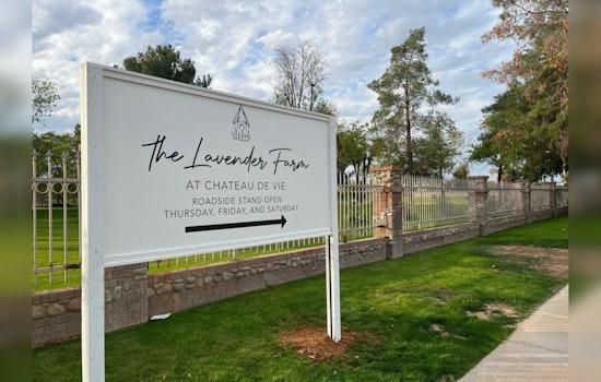 Chateau de Vie in Chandler Opens Doors to Lavender Farm and Educational Workshops