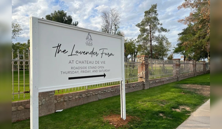 Chateau de Vie in Chandler Opens Doors to Lavender Farm and Educational Workshops