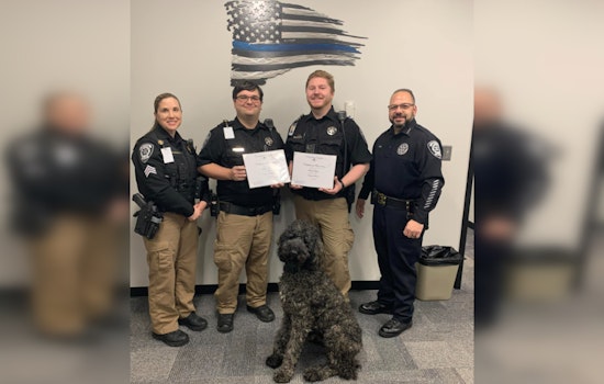 Cherokee County Marshal's Office Enlists Poodle as Community Policing K-9 to Curb Animal Attacks