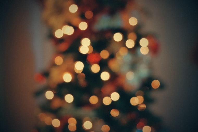 Chicago Launches Post-Holiday Tree Recycling Program with Free Mulch Giveaway
