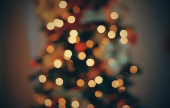 Chicago Launches Post-Holiday Tree Recycling Program with Free Mulch Giveaway