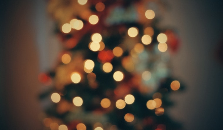 Chicago Launches Post-Holiday Tree Recycling Program with Free Mulch Giveaway