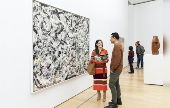 Chicago Museums Offer Warm Respite with Free Admission Days for Illinois Residents