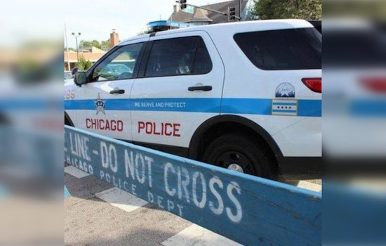 Chicago Police Issue Alert After Spate of Armed Robberies in 1st and 12th Districts
