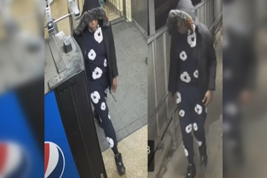 Chicago Police Search for Suspect in Machete-Wielding Robbery on CTA Blue Line