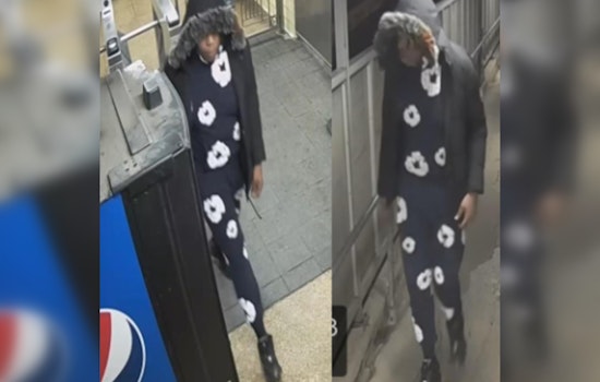Chicago Police Search for Suspect in Machete-Wielding Robbery on CTA Blue Line