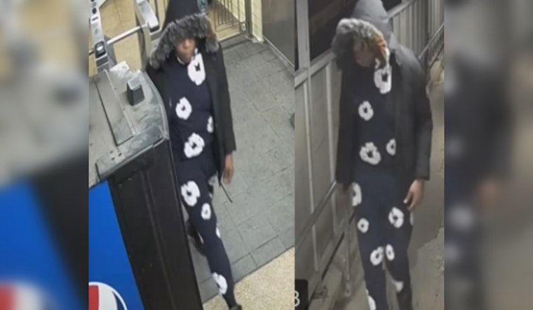 Chicago Police Search for Suspect in Machete-Wielding Robbery on CTA Blue Line