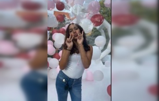 Chicago Police Seek Help to Find Missing Teenager Amid Intense Search Effort