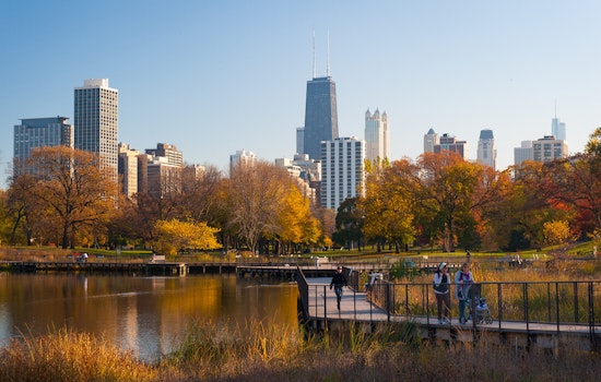 Chicago's Legal Community Mobilizes to Aid Migrants Amidst Immigration Crisis