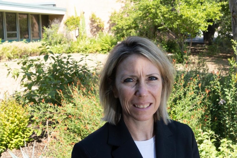 City Council Members Grapple with Funding for Parks and Culture in Future Bond Package