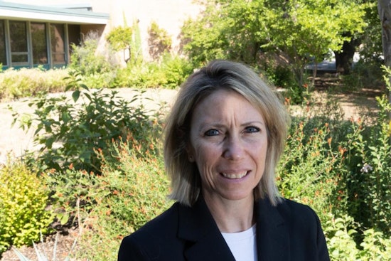 City Council Members Grapple with Funding for Parks and Culture in Future Bond Package