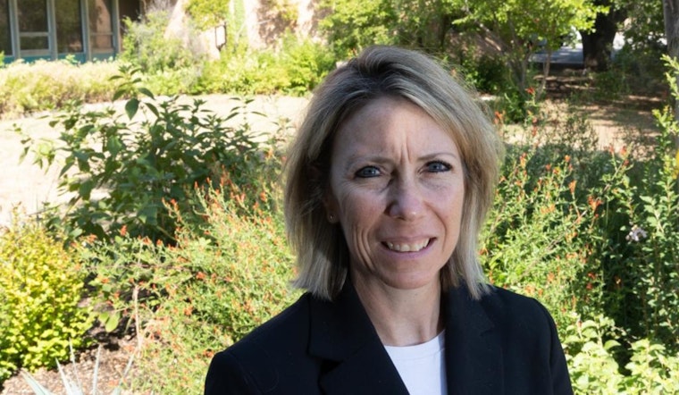 City Council Members Grapple with Funding for Parks and Culture in Future Bond Package