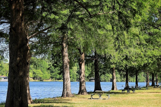 City of Austin Struggles to Sustain Green Spaces Amid Funding Shortages, Austin Officials Weigh in on Bond Utilization